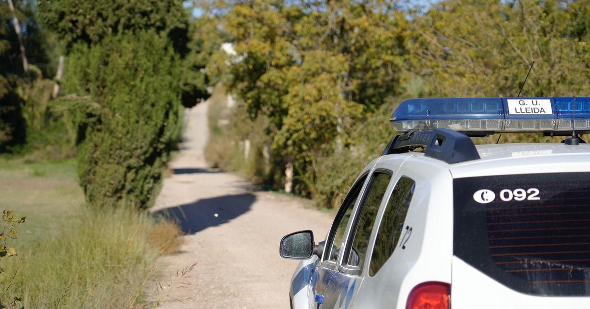 Detenidos por robar cable telefónico y asaltar una vivienda en l'Horta