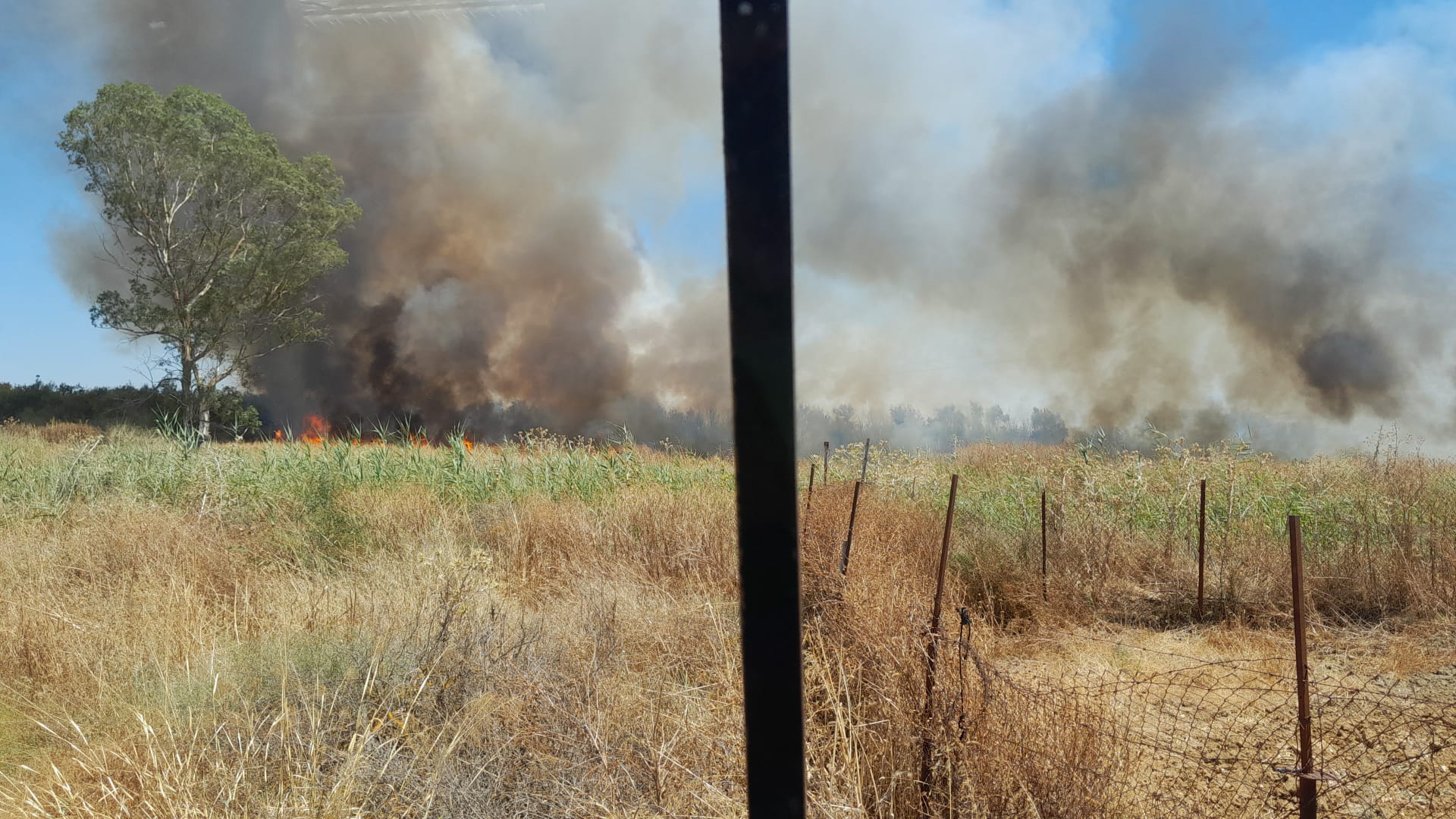 Gran despliegue del Infoca para luchar contra las llamas en un incendio en Trigueros