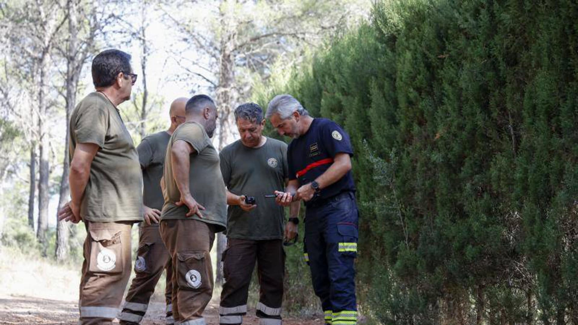 Declarado un incendio forestal en Xàtiva