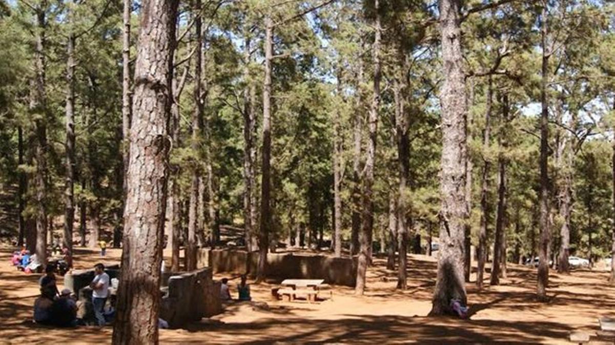 Zona de esparcimiento en un monte de la isla de Tenerife.