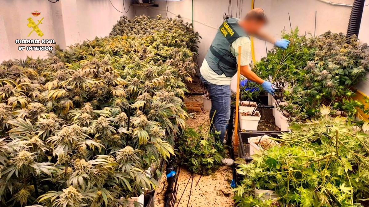 Desmantelan red de tráfico de drogas bajo la fachada de una Asociación de Fumadores