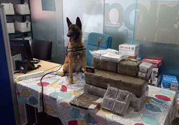 Golpe al tráfico de hachís en Alicante: dos detenidos y 38 kilos interceptados en un autobús
