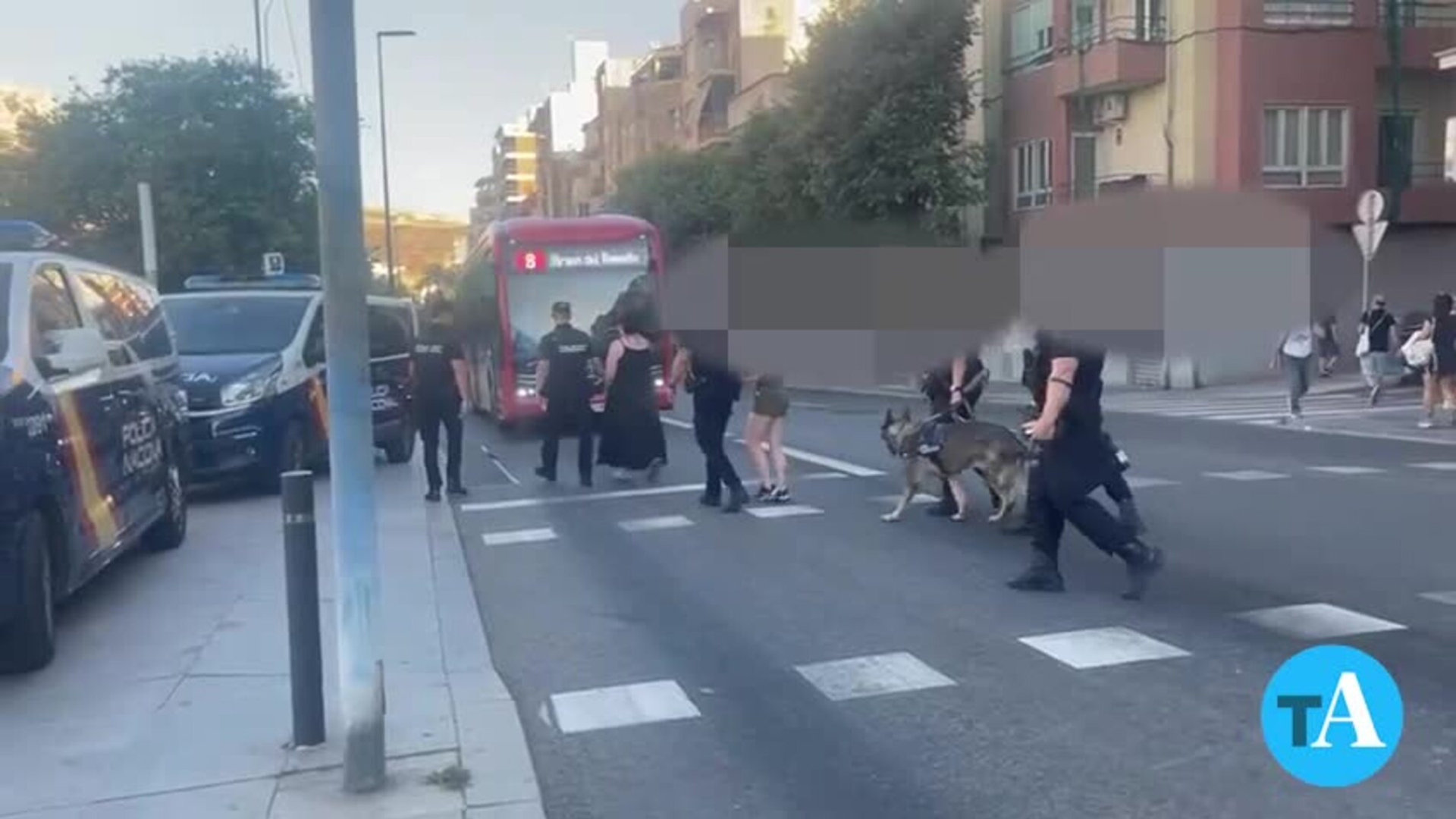 Tráfico de drogas Alicante | Tres detenidas en una operación antidroga en una cafetería de Alicante | Cafeterías Alicante | Supermercado Alicante