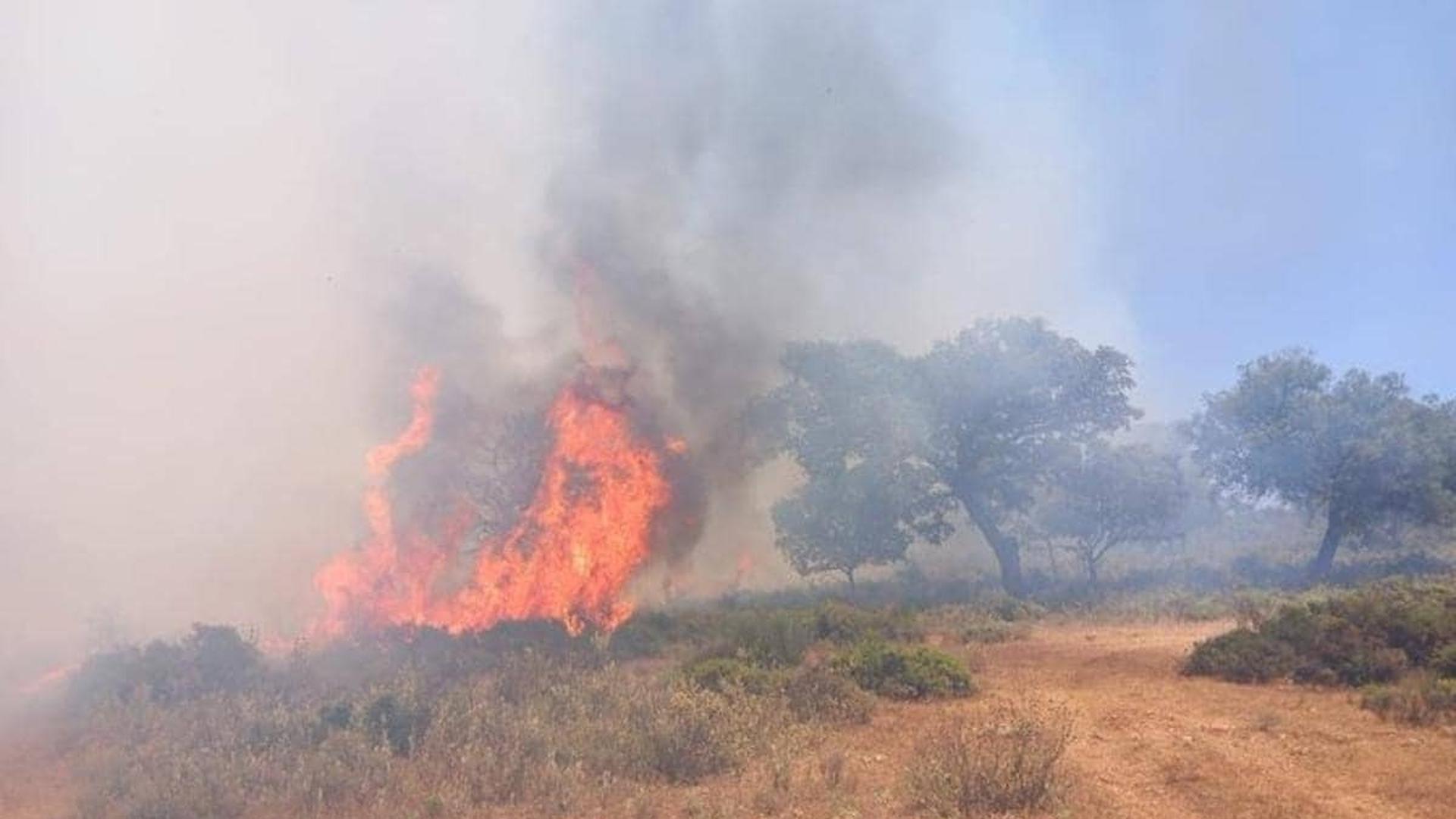 A prisión un hombre detenido por provocar un incendio forestal en Casares