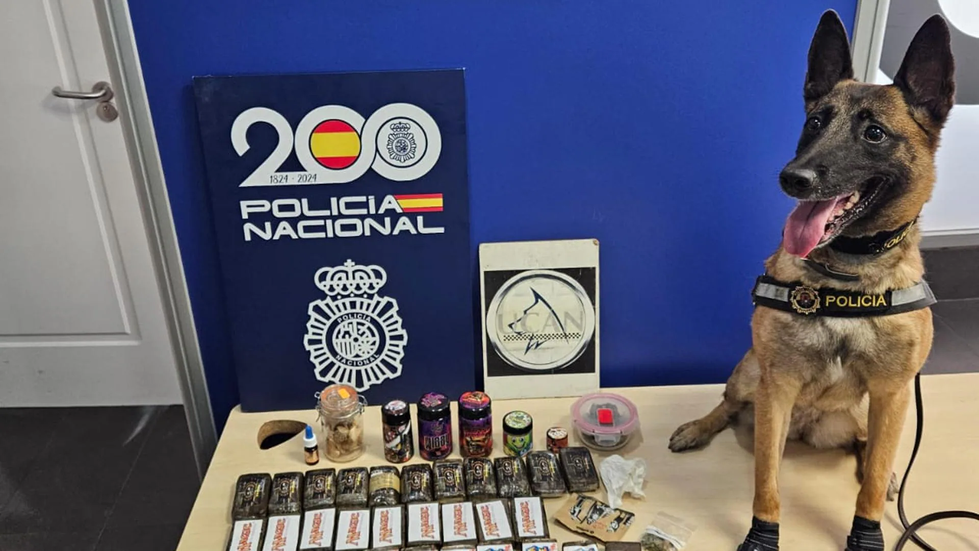 Tres detenidos en la estación de autobuses de Alicante por tráfico de drogas