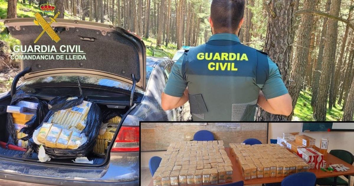 Arrestan a un contrabandista que se dio a la fuga por una pista en Bescaran
