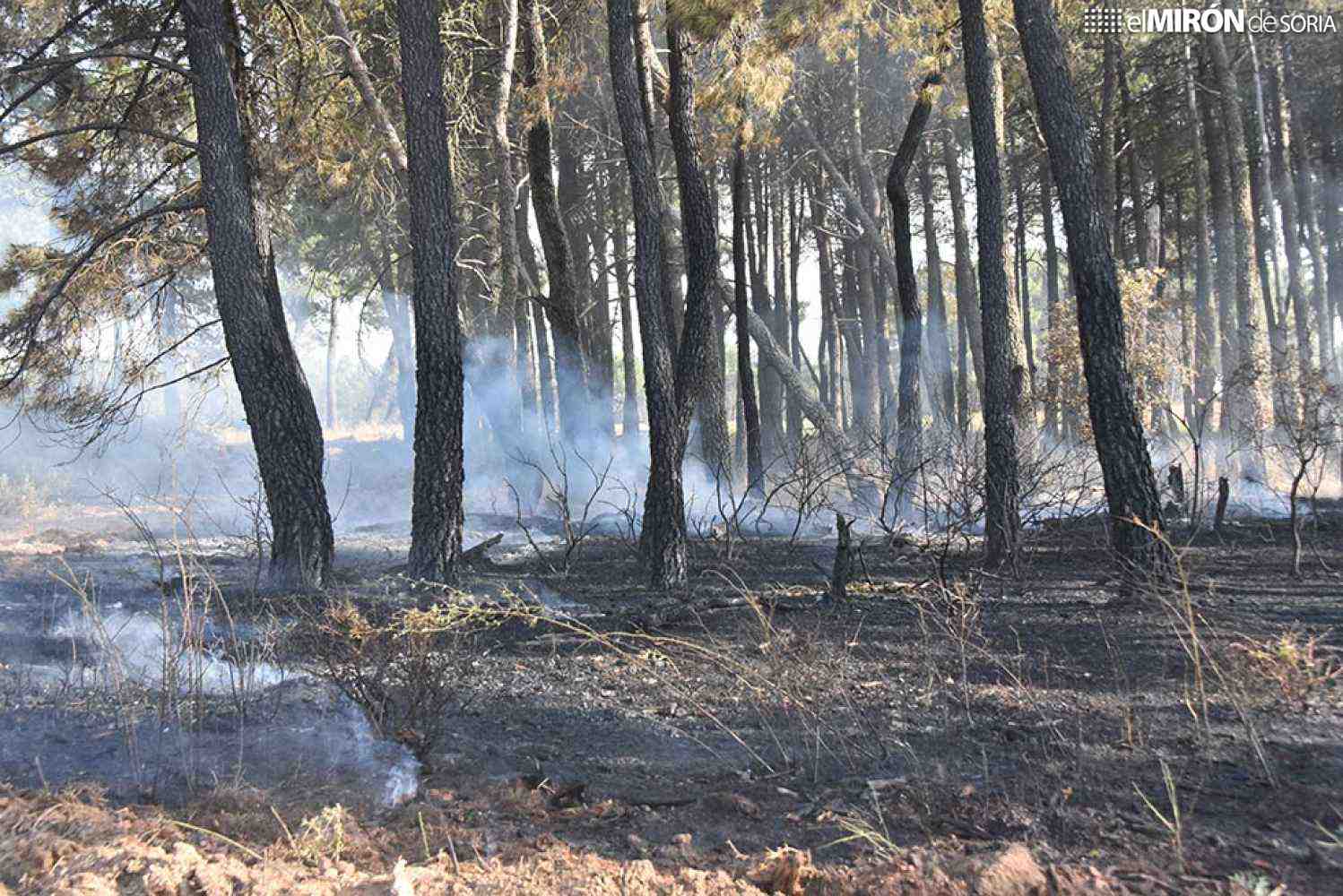 El incendio de Navalcaballo arrasa casi 18 hectáreas en solo unas horas, según la Junta en Infocal
