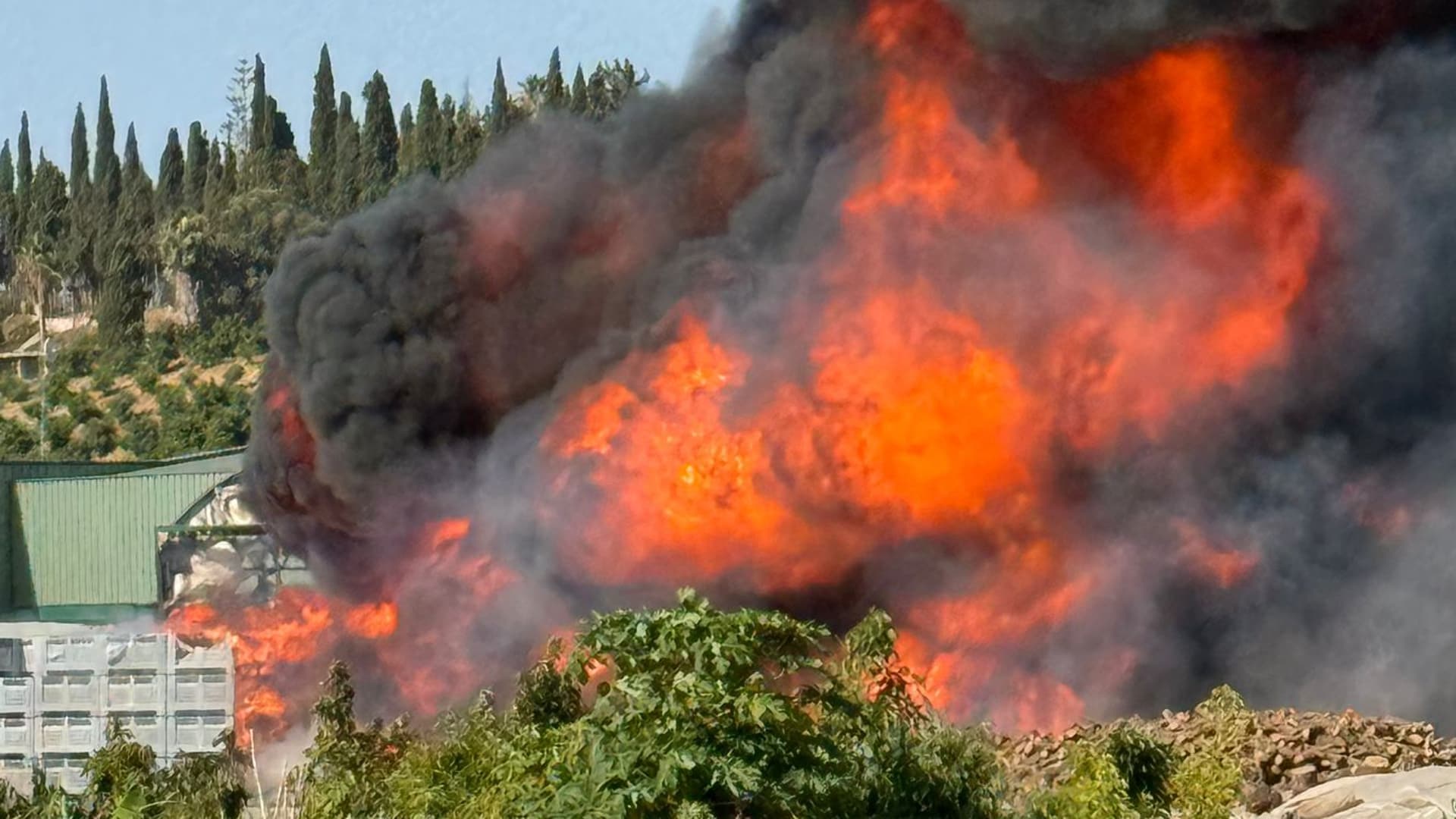 Sucesos Málaga: Espectacular incendio en las instalaciones de una empresa de subtropicales de Vélez-Málaga