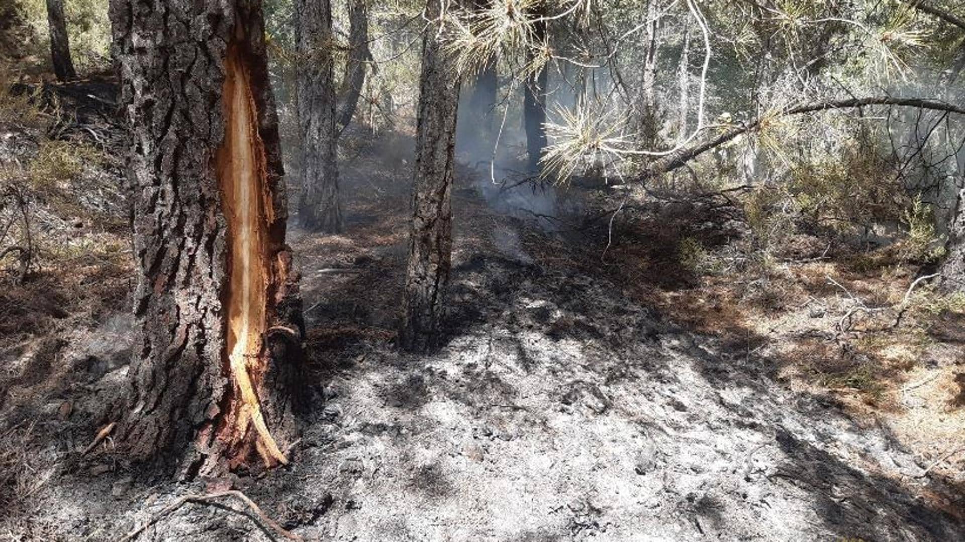 Un incendio moviliza a numerosos medios aéreos y terrestres en Barruecopardo