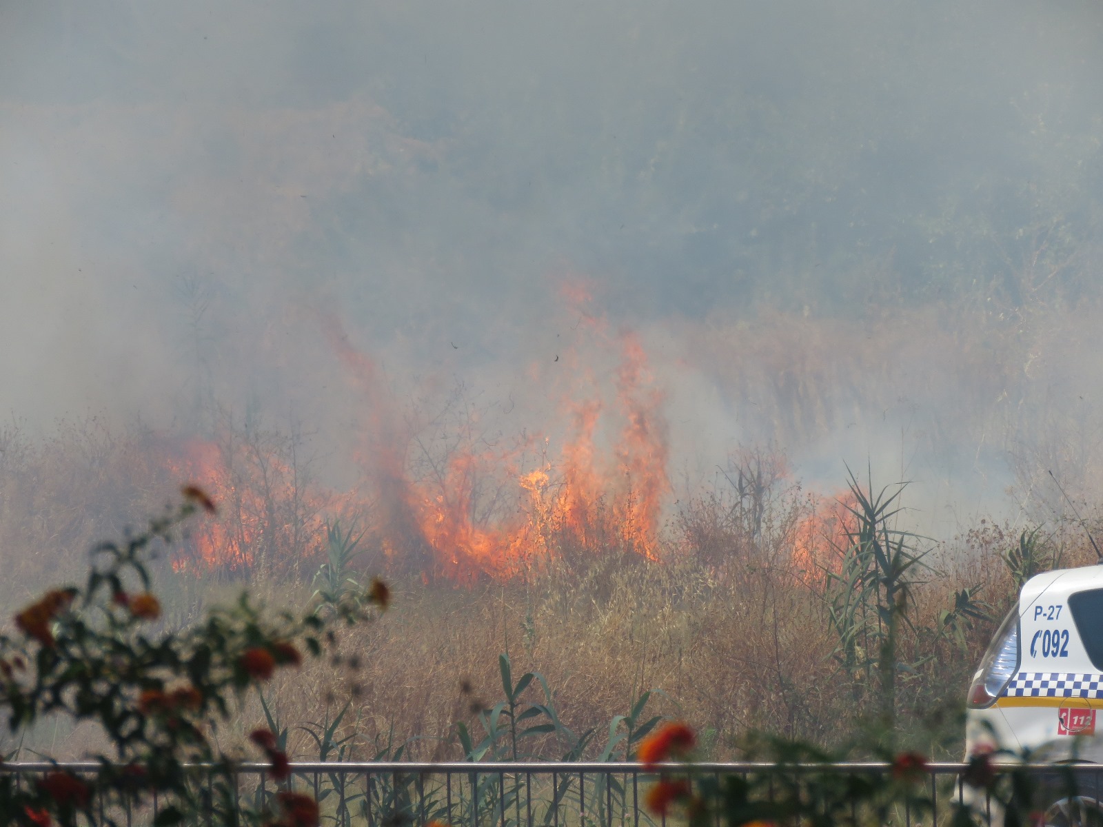 Alarma vecinal en Huelva: sale ardiendo una zona de pastos del Parque Moret