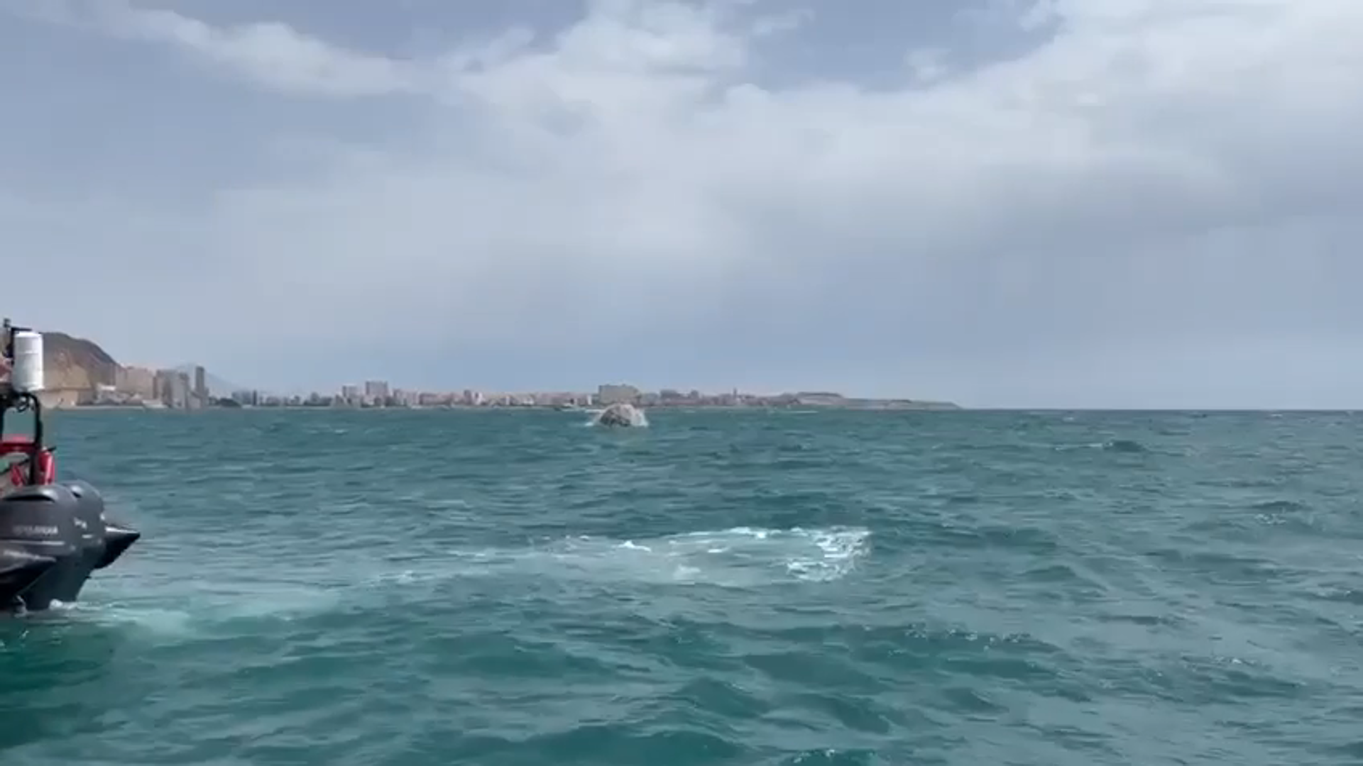 La Armada desactiva una bomba de la Guerra Civil en aguas del Postiguet