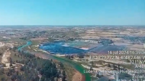 Vídeo | Extinguido el incendio de Trigueros: ha afectado a 13 hectáreas de arbolado