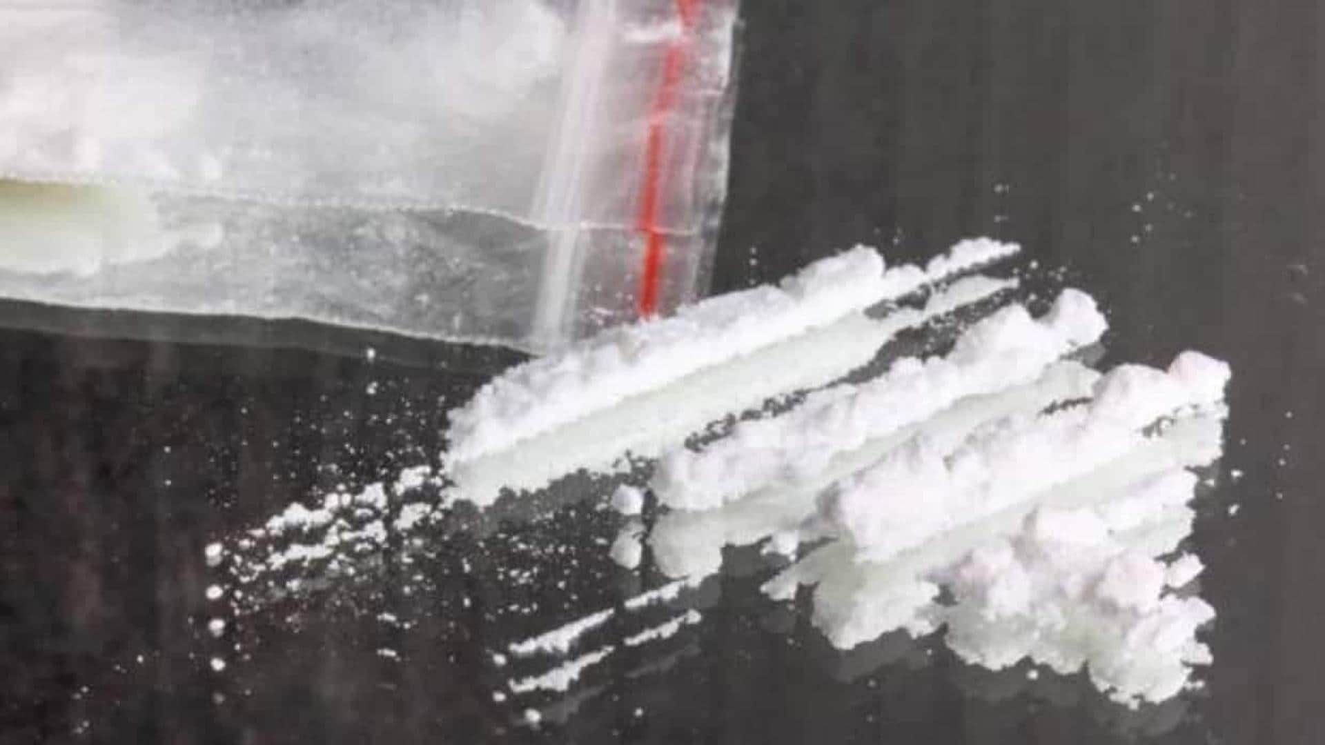 Policía Nacional desmantela red familiar de tráfico de drogas en Estepona