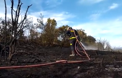 Sentencia anula carácter eliminatorio de examen psicotécnico en OPE conjunta de bomberos en Álava y Gipuzkoa