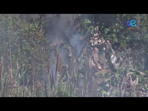 Bomberos sofoca un incendio en Arroyo Paneque consiguiendo evitar males mayores