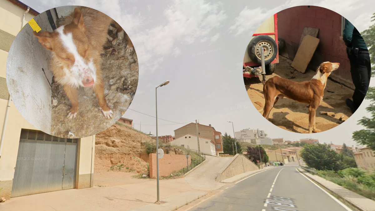 Noticias de Teruel