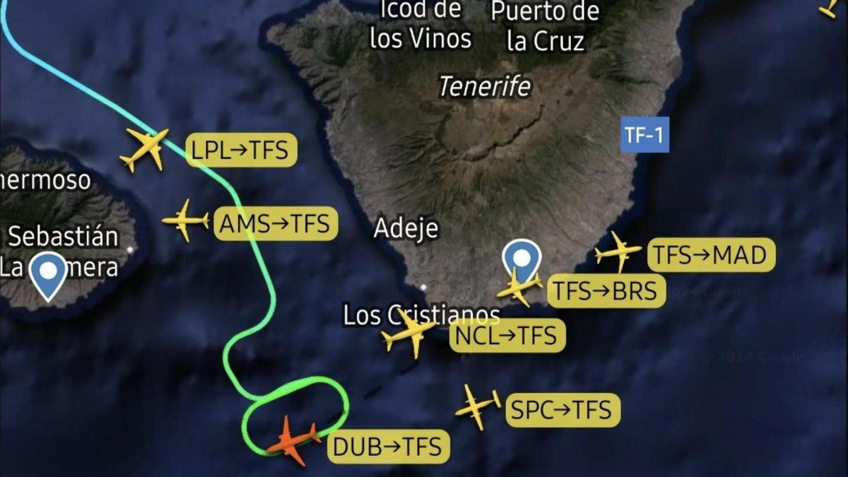 ¡Impactante! Ave provoca cancelaciones y retrasos en vuelos en el Aeropuerto de Tenerife Sur
