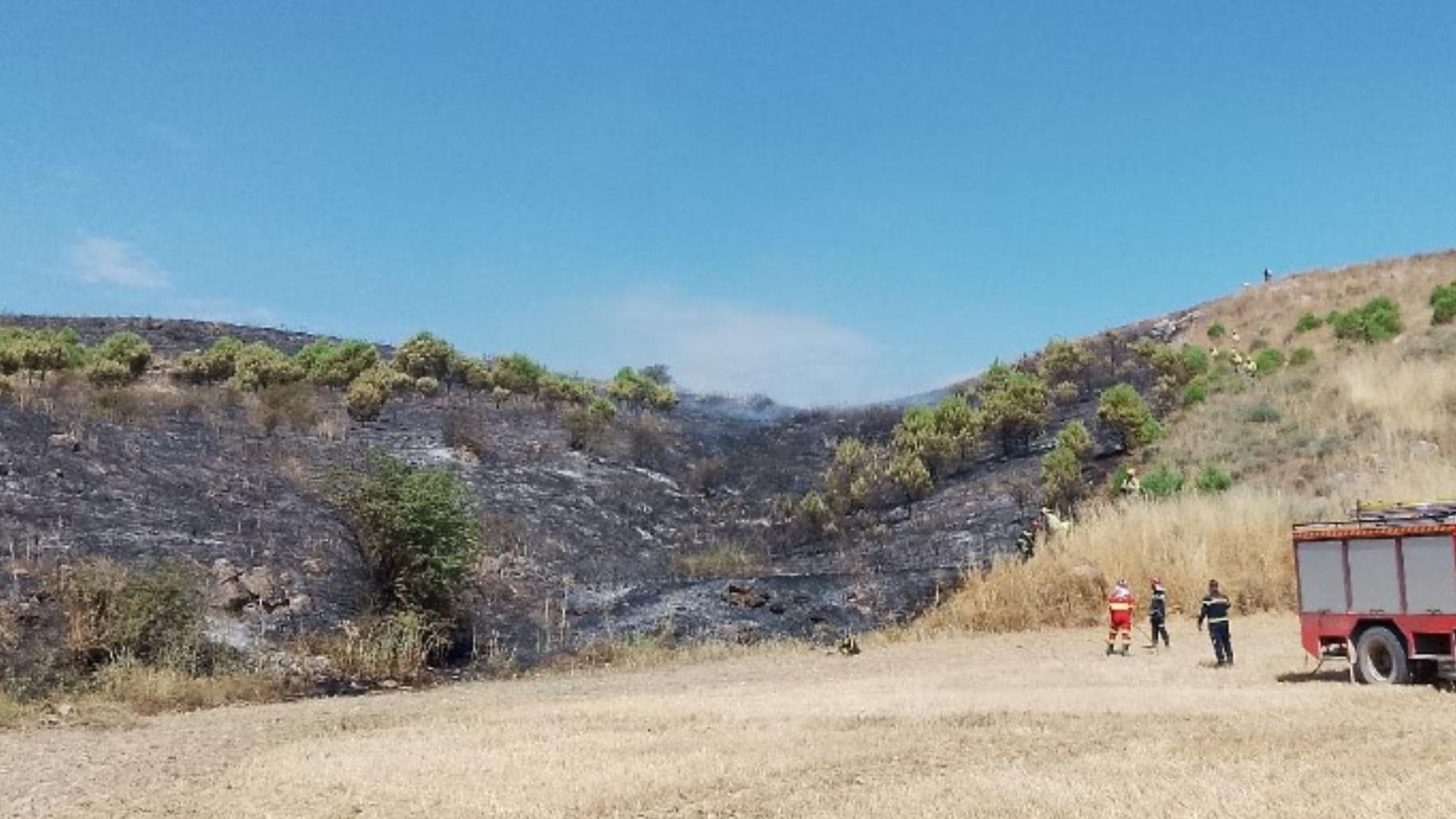 Un incendio accidental quema cuatro hectáreas en Pedrosa de Duero