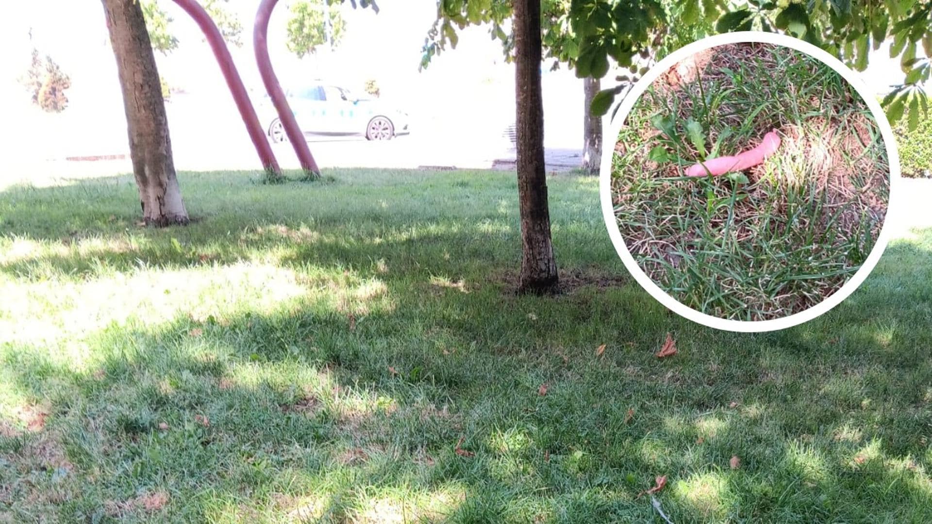 Aparecen salchicas supuestamente envenenadas en una zona ajardinada de Pizarrales