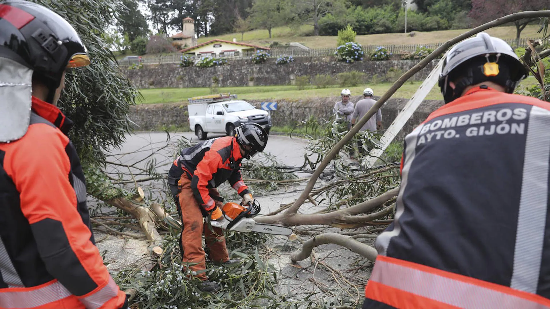 El fuerte viento derriba un árbol y corta la carretera de Somió