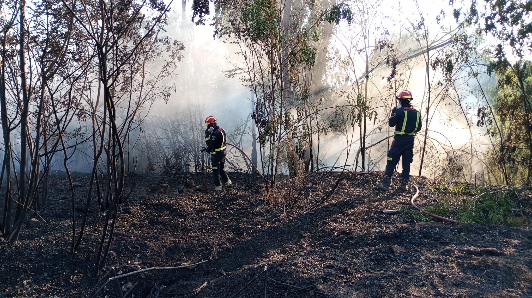 Un incendio devora 5 hectáreas de pasto en Colmenar de Oreja