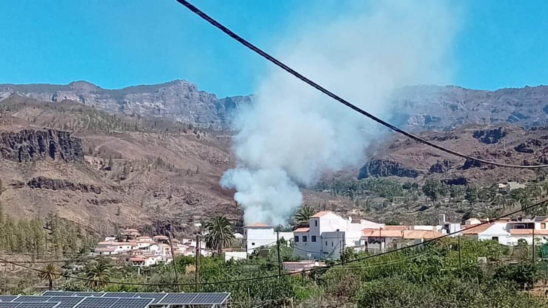 Un incendio afecta al palmeral de Fataga