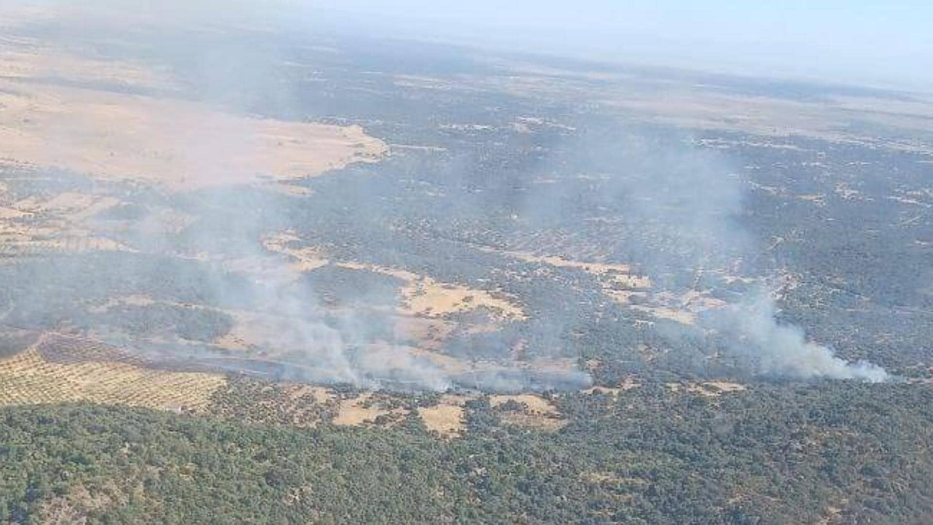 Declarado nivel 1 de peligrosidad por incendio forestal en Torre de Santa María en Extremadura