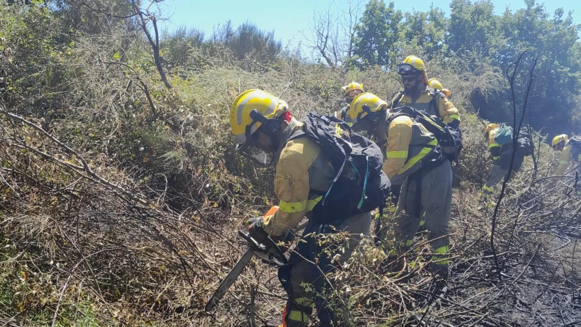 Declaran nivel 1 de peligrosidad por incendio forestal en el Valle del Jerte, Extremadura