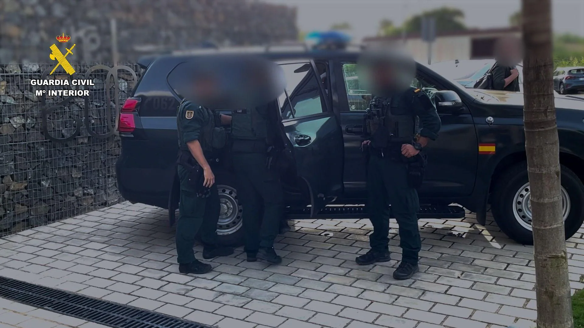 Detienen en Estepona al líder de una red internacional de ciberdelincuencia