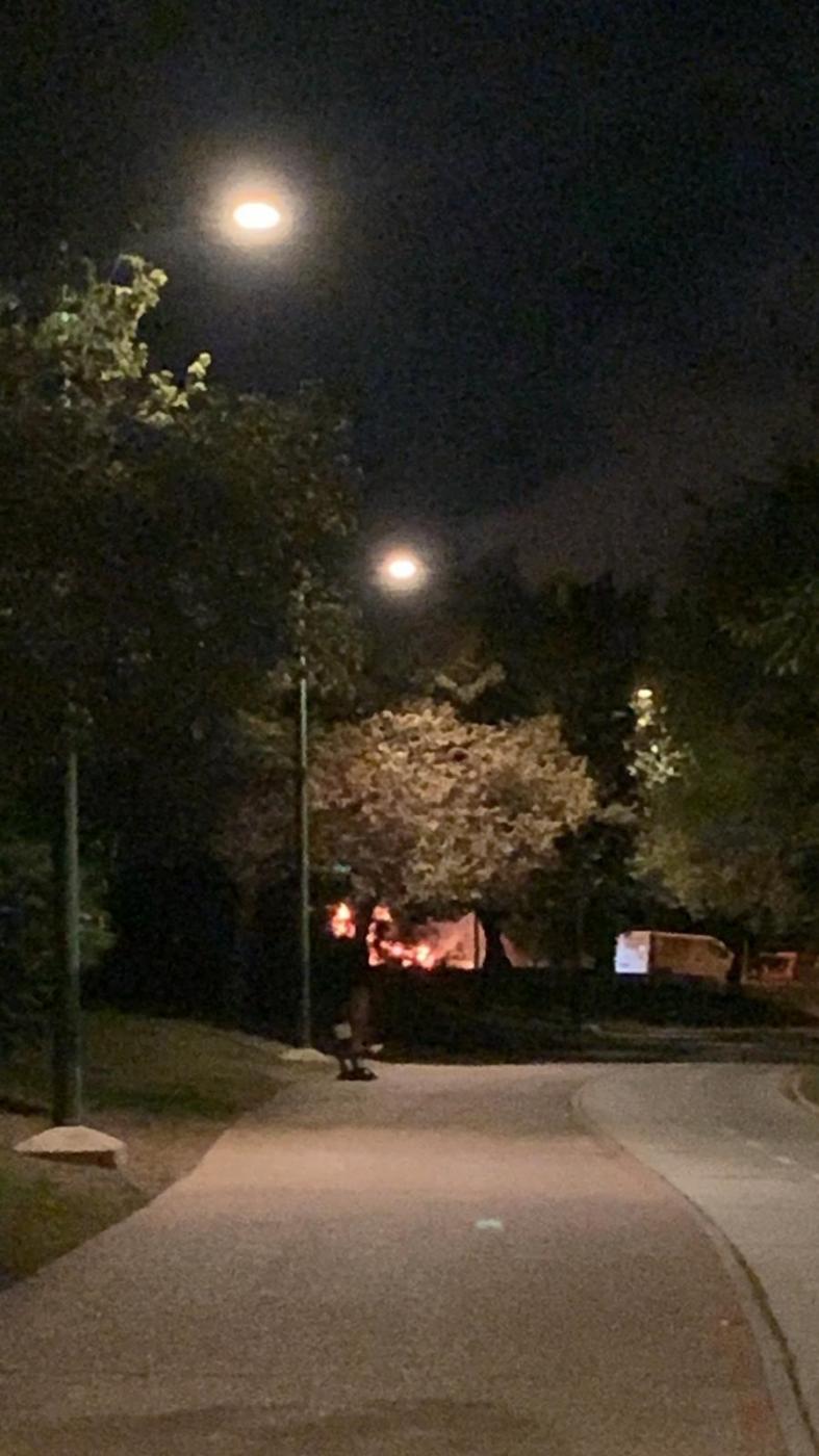 Incendio en el parque Guadaíra. - ASOCIACIÓN PARQUE VIVO DEL GUADAÍRA