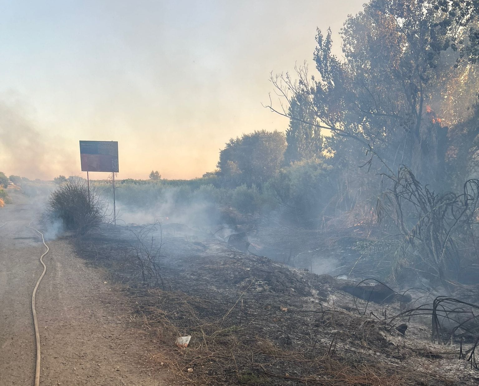Provocan un incendio con 5 focos en la A-483 a su paso por Bollullos