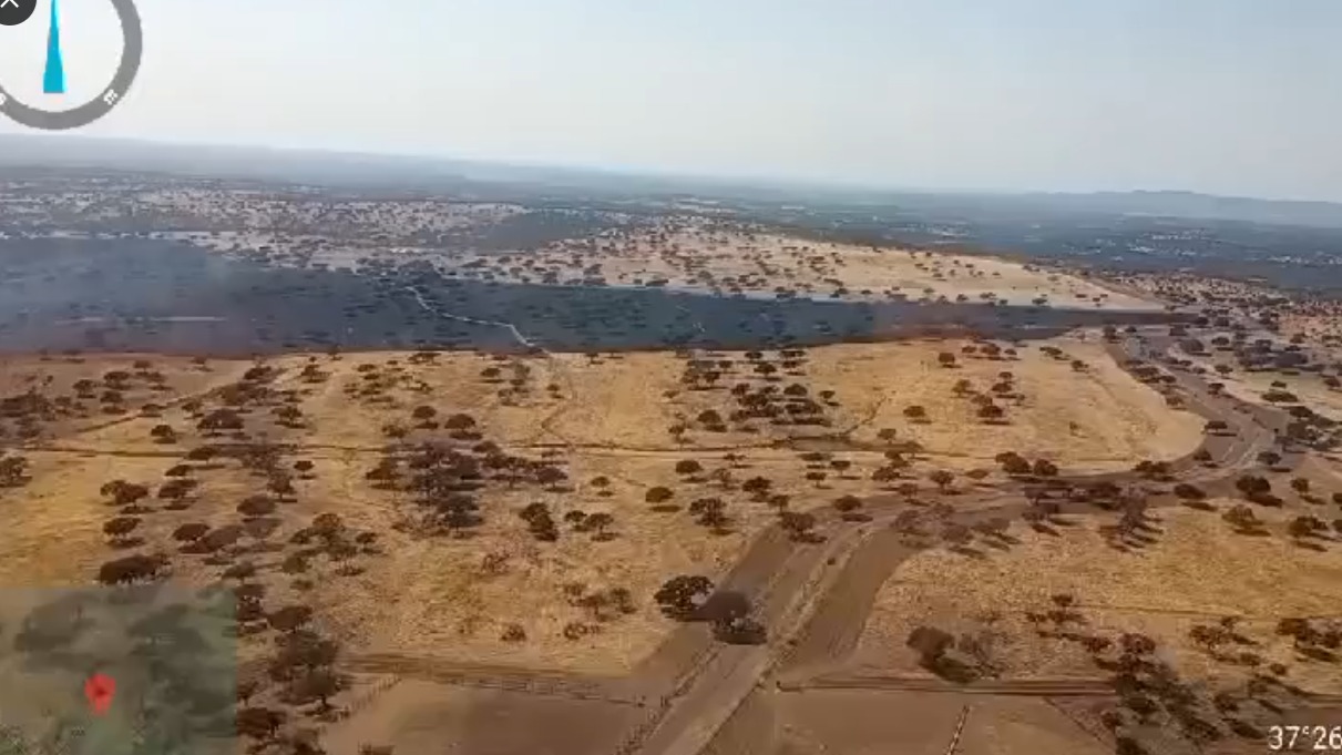 Efectivos del Infoca trabajan en el control de un incendio en la provincia de Huelva