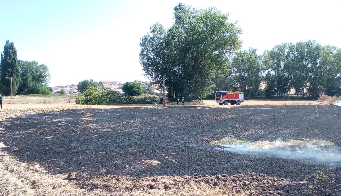 La caída de un árbol sobre una línea de tendido eléctrico origina un incendio en Zamora