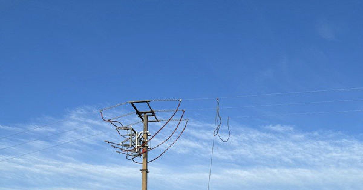 La 'maría' origina casi la mitad de la luz defraudada este año en Lleida