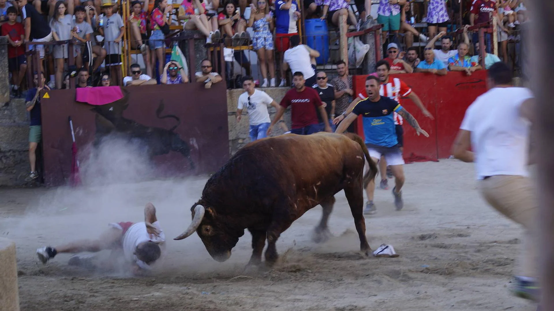 Sucesos: El herido por asta de toro en las fiestas de Cuacos de Yuste continúa en la UCI del Universitario de Badajoz
