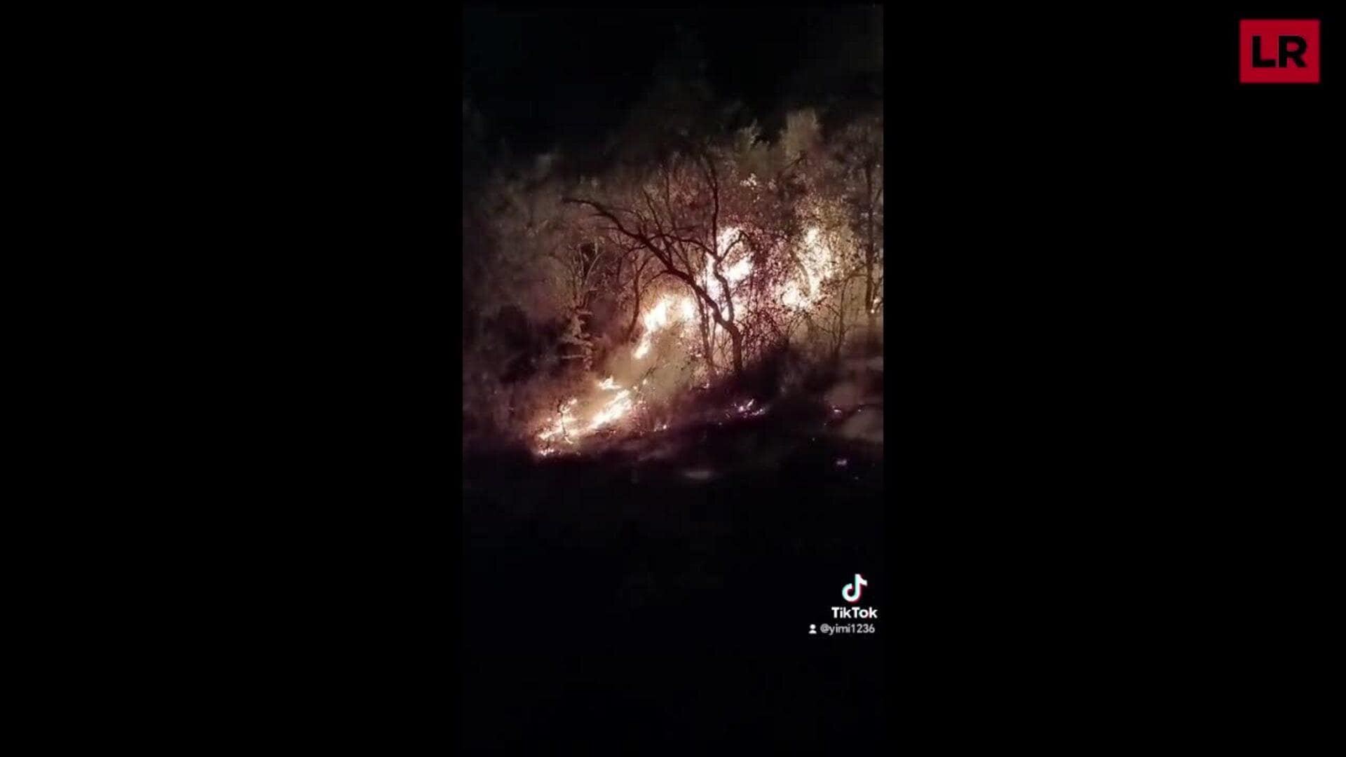 Un incendio afectó a 1500 metros cuadrados de finca de olivos con pasto bajo y ribazo en Cenicero