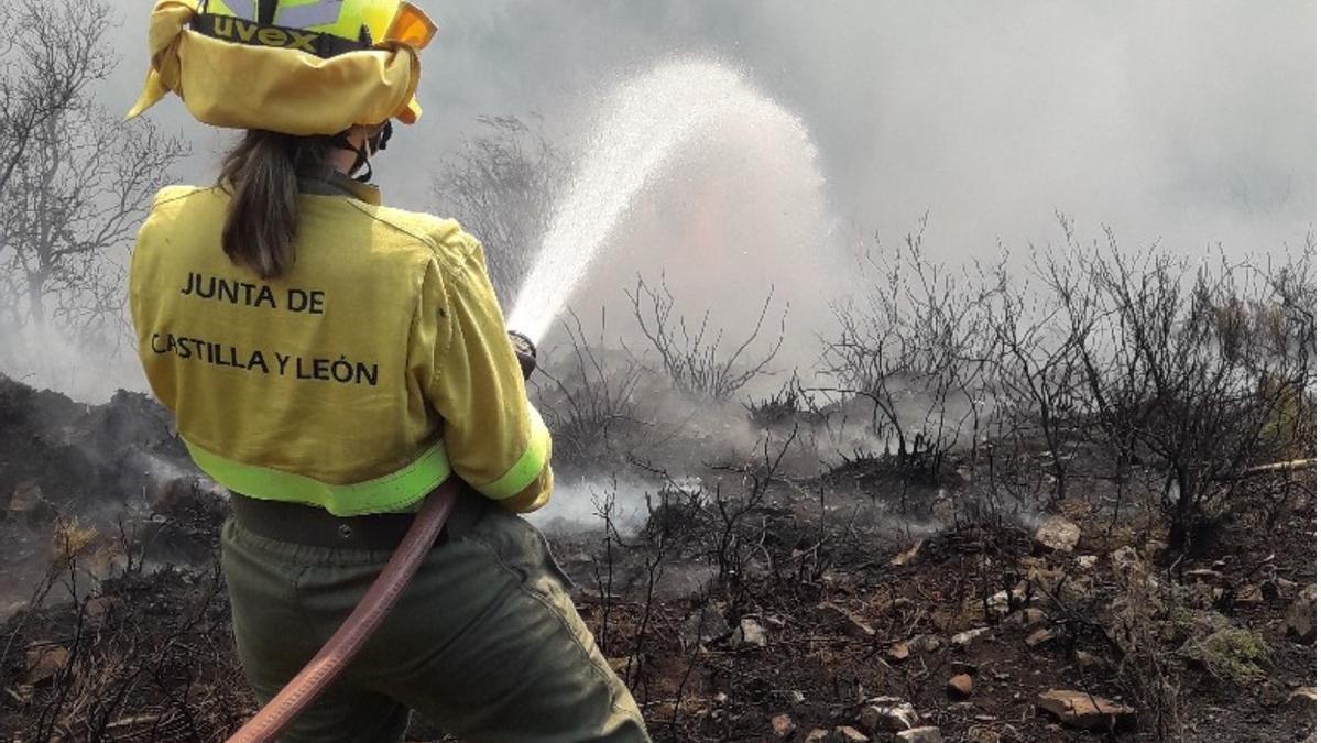 Imagen de un profesional brigadista forestal de la Junta de Castilla y León, archivo.