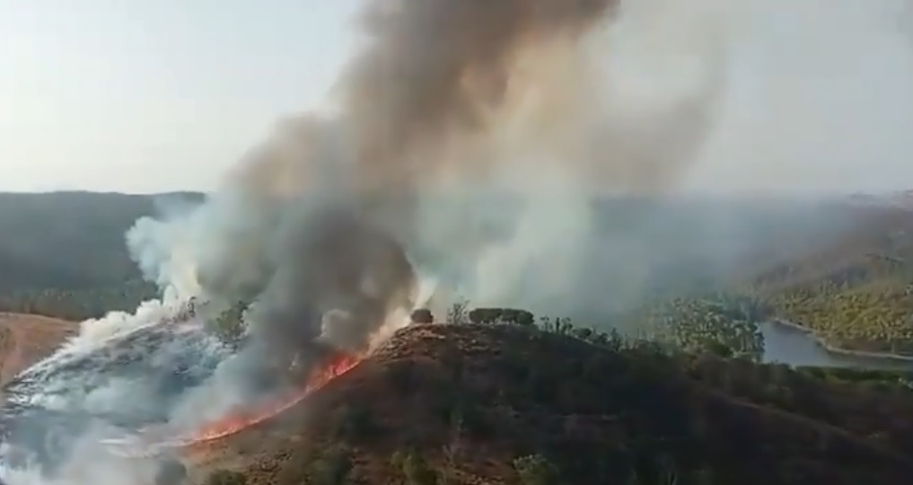 Vídeo: El Infoca combate con medios aéreos y terrestres un incendio en Calañas