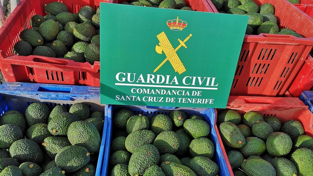 Imagen de archivo de aguacates sustraídos.