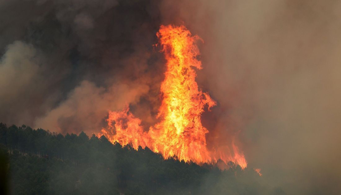 La Junta de Castilla y León refuerza la lucha contra el incendio forestal de Angueria en Portugal