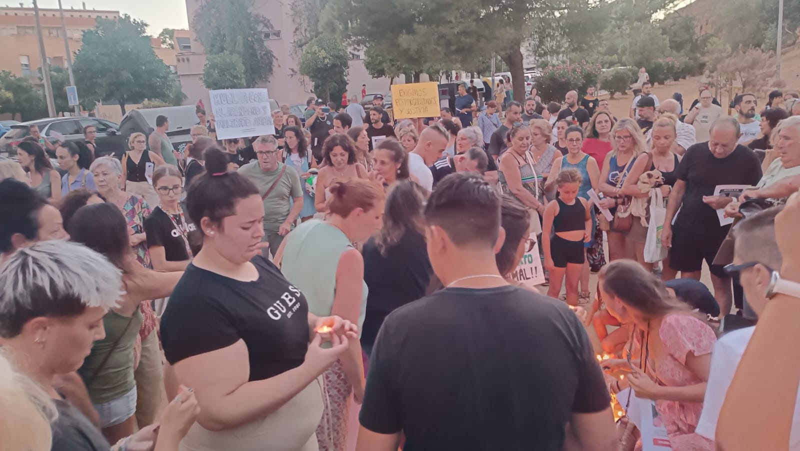Cientos de onubenses se echan a la calle contra el maltrato animal (Galería)
