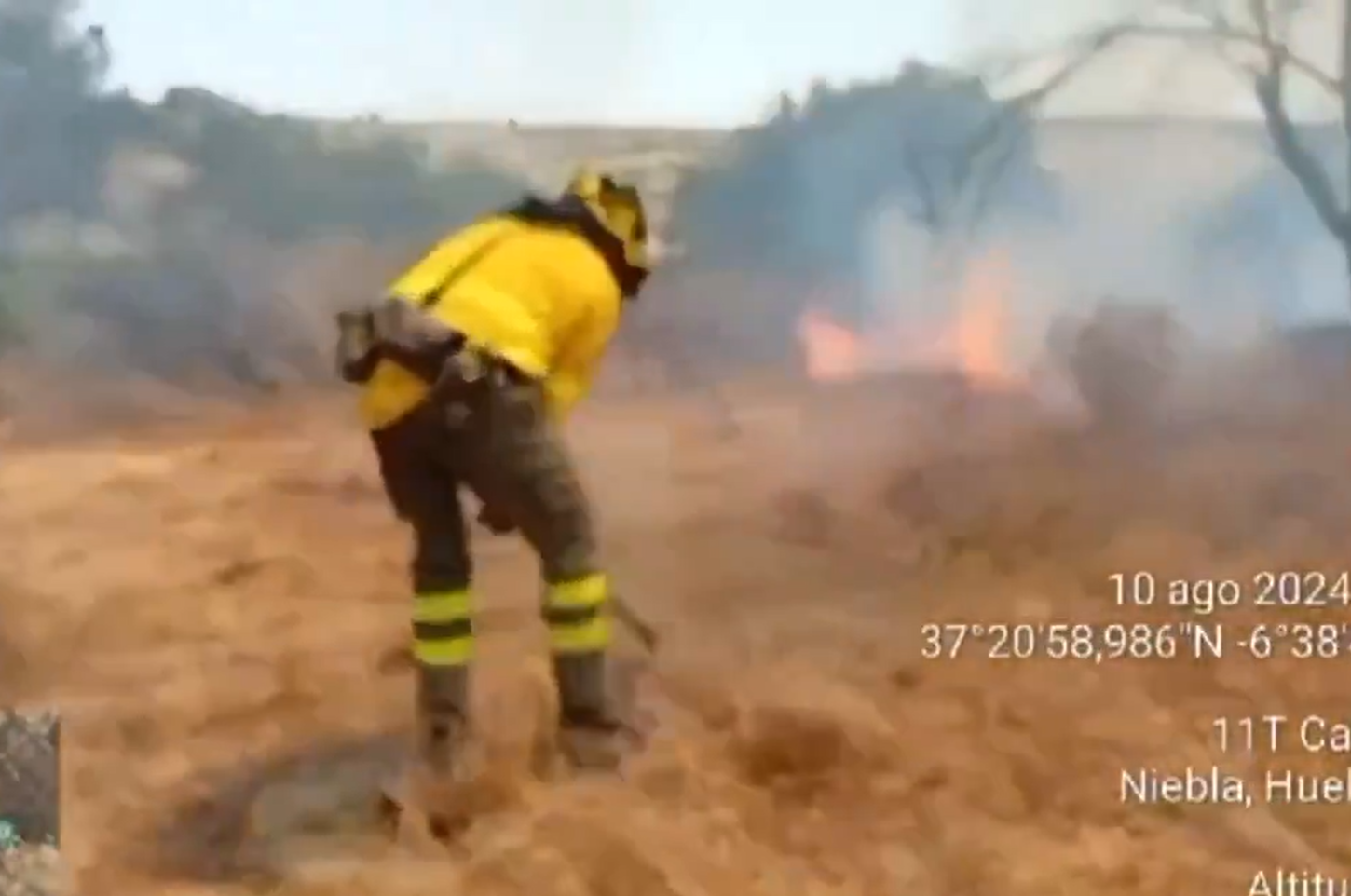 Captura de pantalla 2024-08-10 173809