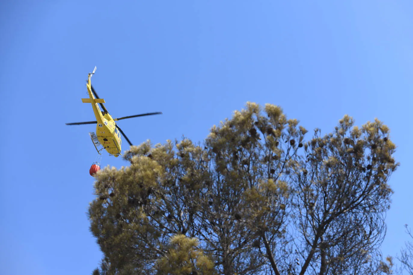 Cuarto incendio forestal en Alicante en menos de una semana