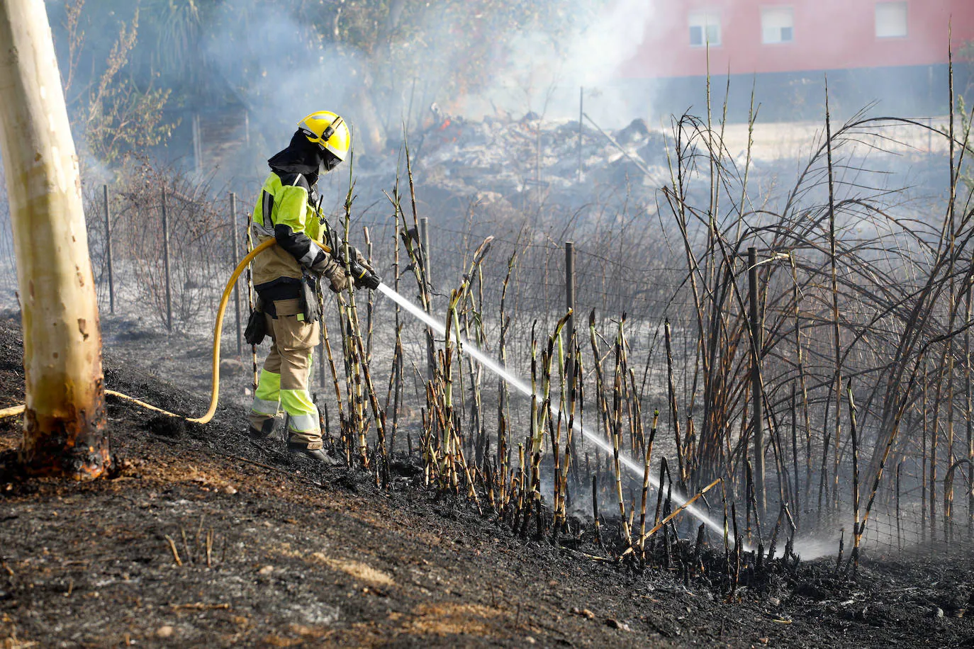 Infoex activa el nivel 1 por un incendio forestal en Malpartida de Cáceres