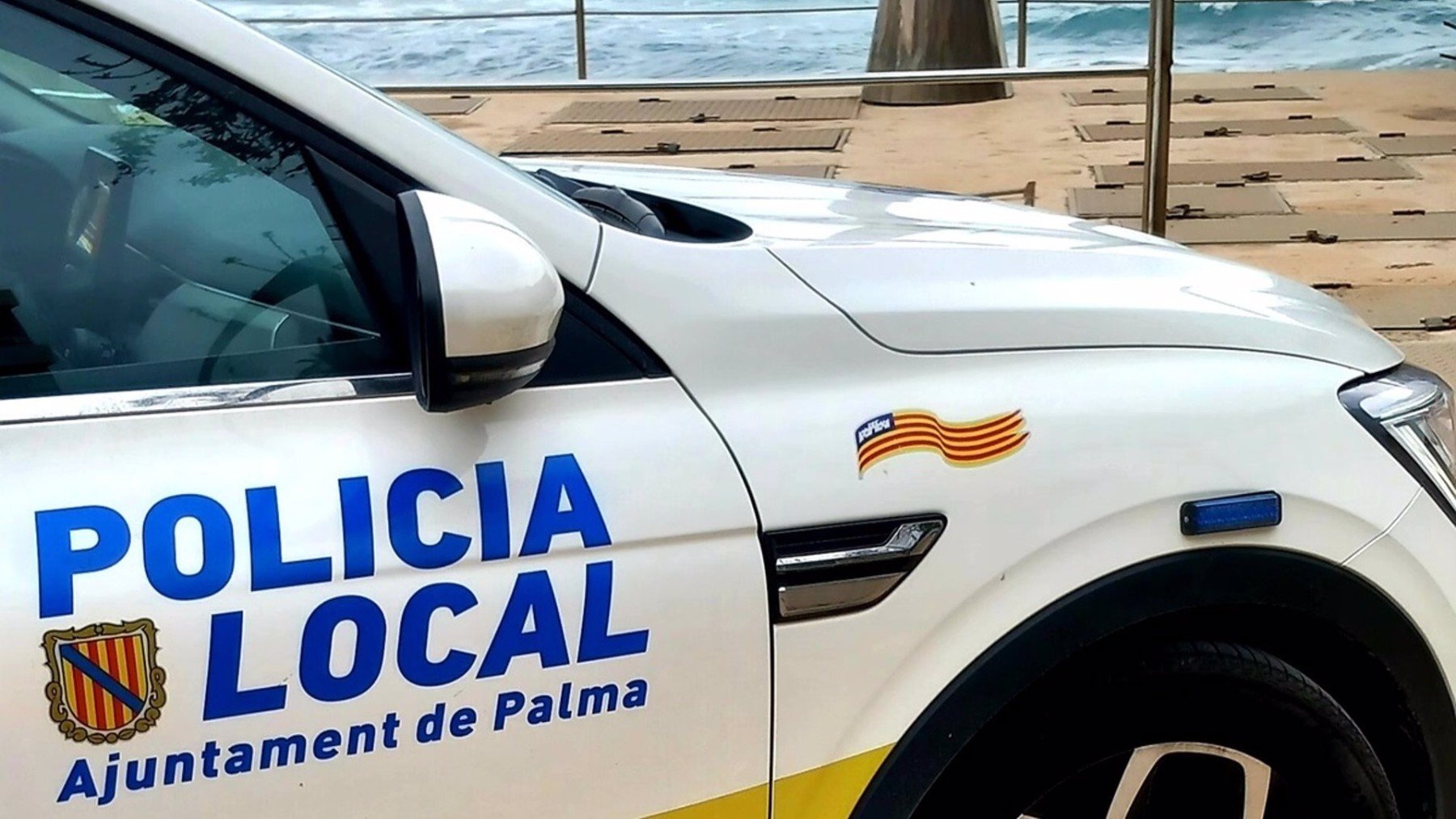 Detienen a tres jóvenes argelinos en Palma por robar en un coche y agredir a su propietaria