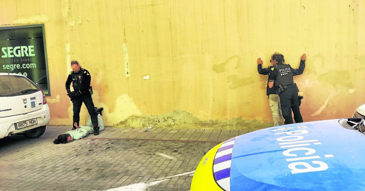 Detenida por violencia doméstica y atentar contra los agentes