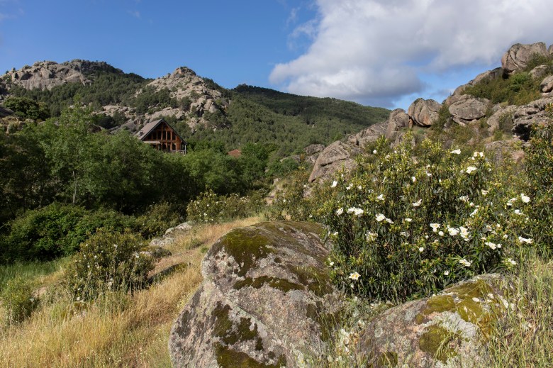 Entorno perteneciente a La Pedriza (Foto: EP)