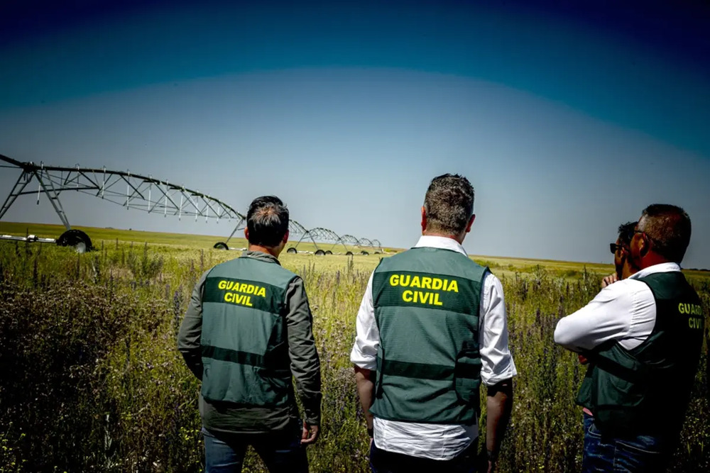 Desarticulan un grupo criminal por hurtos en granjas agrícolas