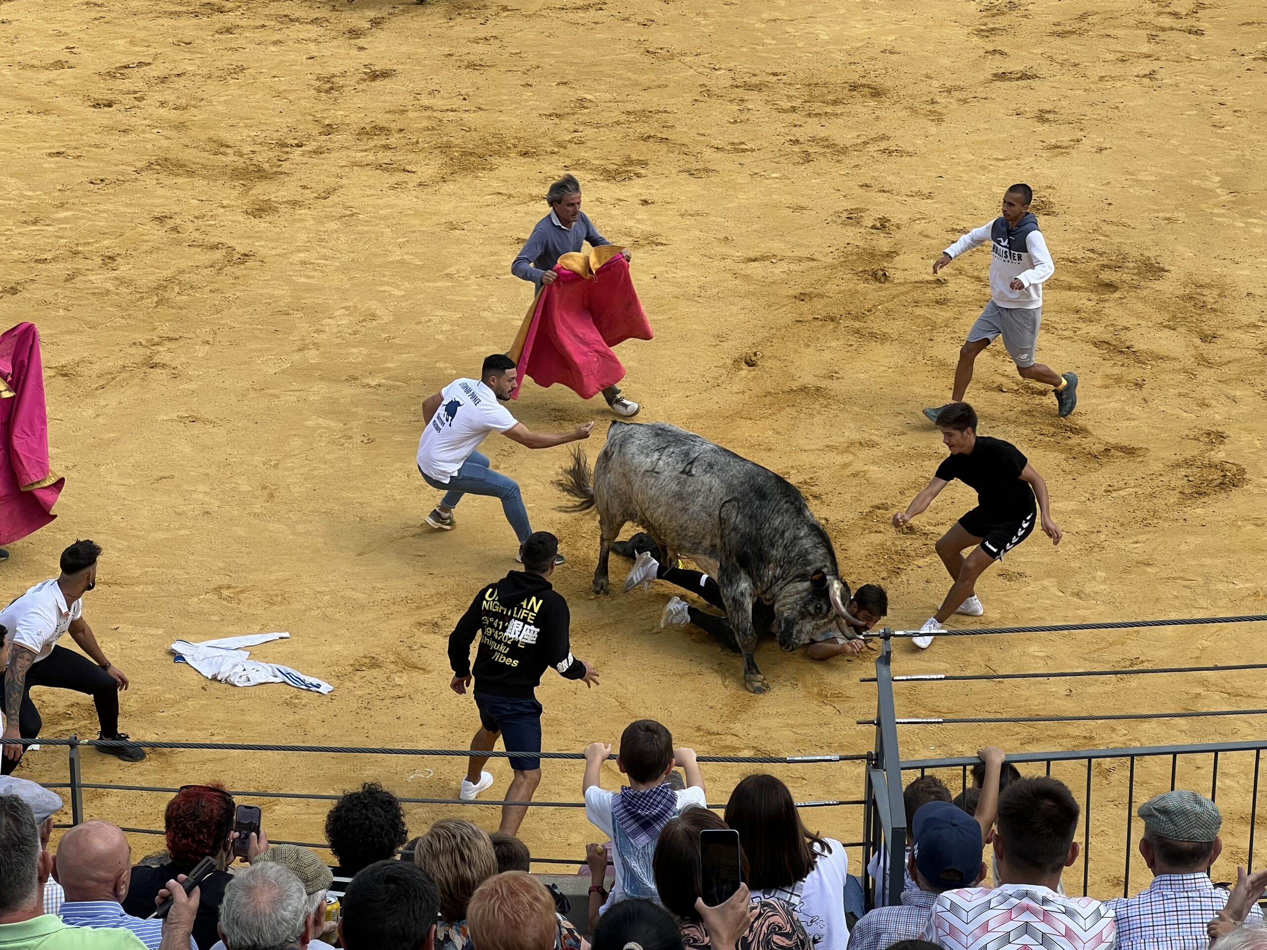 Cogidas en los encierros de Almodóvar del Campo: Un herido trasladado al Hospital de Puertollano