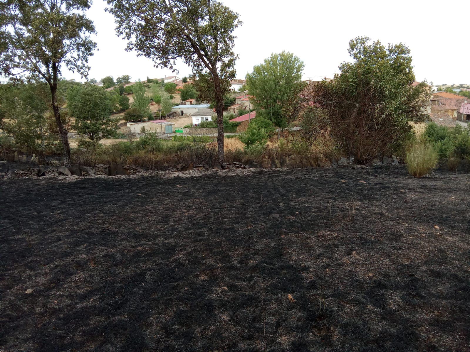 Incendio en Grisuela